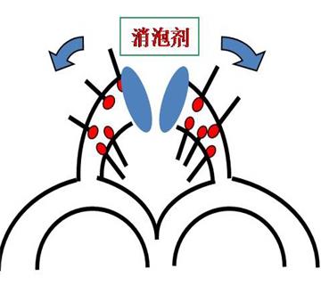 2O25管家婆一码一肖资料