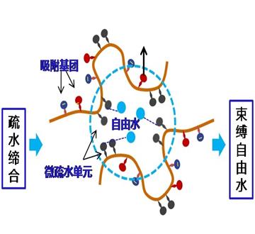 2O25管家婆一码一肖资料